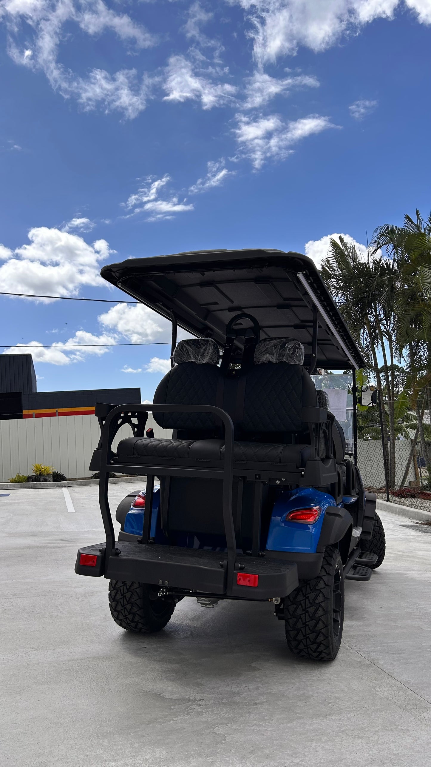 4+2-Seater Golf Buggie (JSH0704)