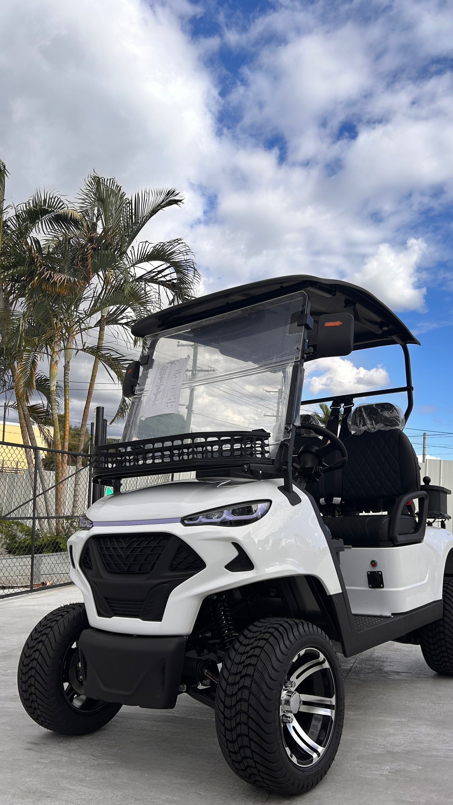 2-Seater Golf Buggy (JSH0701)